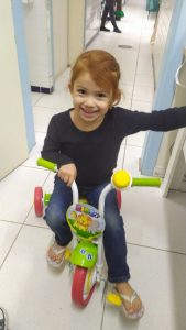 Creches municipais de Florianópolis recebem 3 mil triciclos - Portal Norte  da Ilha